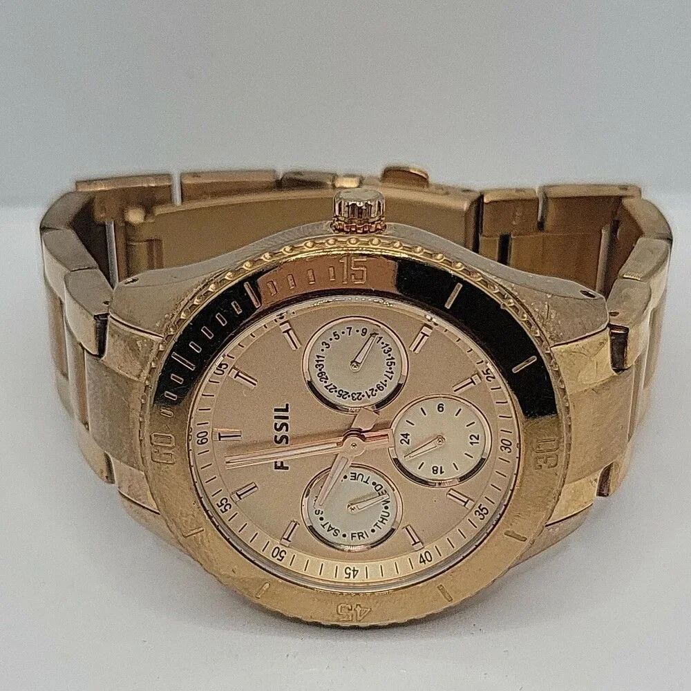 Fossil stella es2859